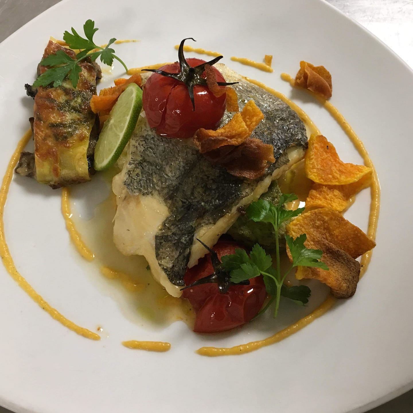 Dish of the Day
